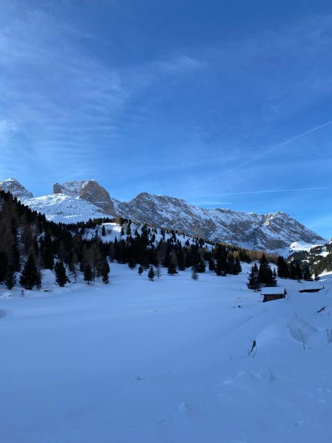 Casa Fiemme Panchia Lejlighed Eksteriør billede